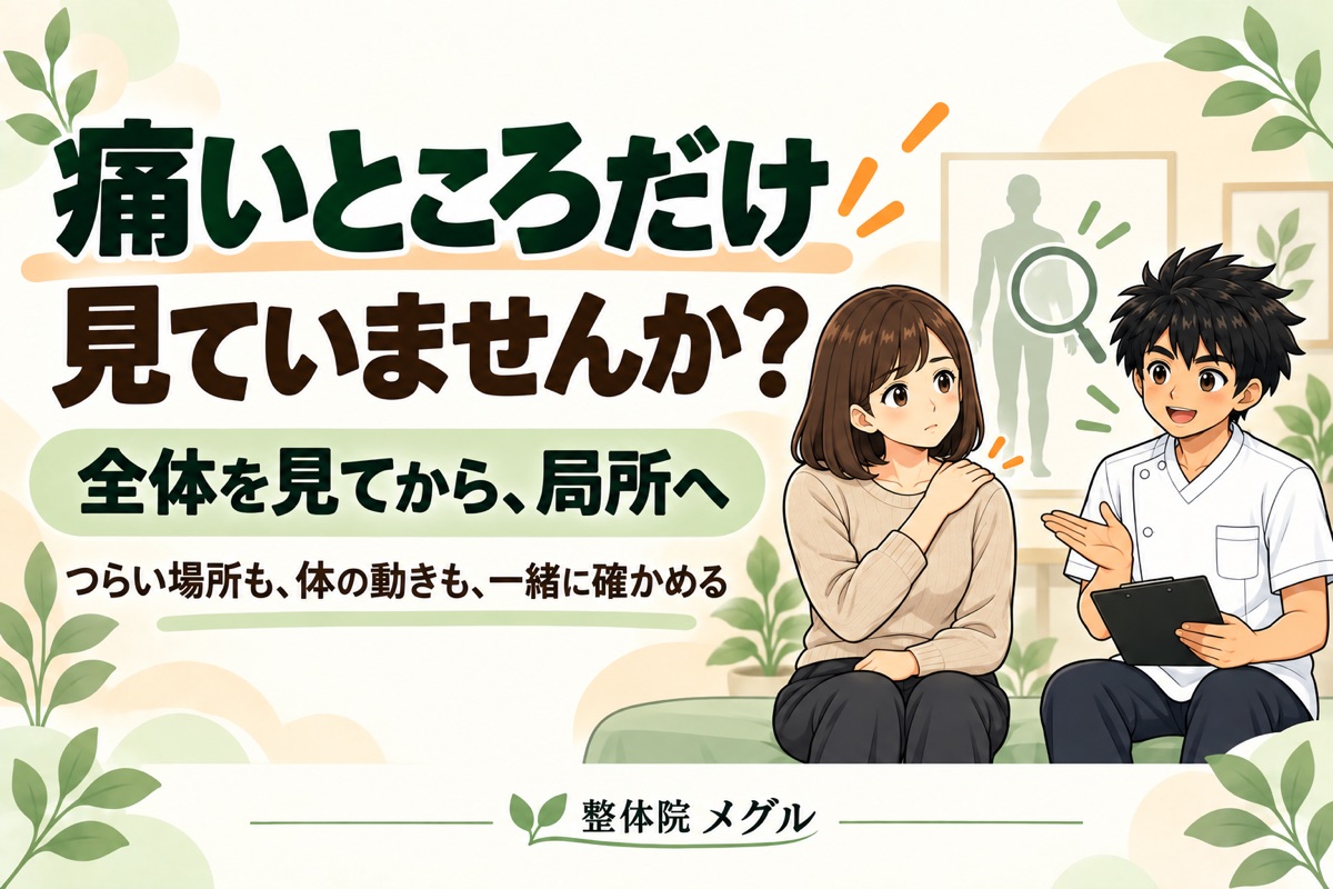 痛いところだけ見ていませんか?全体を見てから、局所へ。つらい場所も体の動きも一緒に確かめる