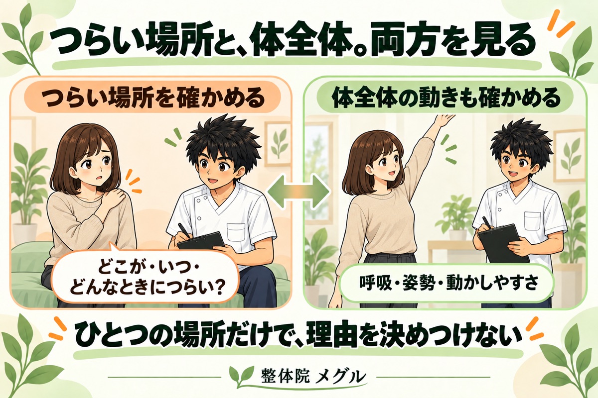 つらい場所と体全体、両方を見る。どこが・いつ・どんなときにつらいかと、呼吸・姿勢・動かしやすさを確かめる