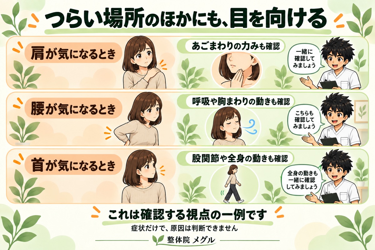 つらい場所のほかにも目を向ける。肩ならあごまわり、腰なら呼吸や胸まわり、首なら股関節や全身の動きも確認する一例