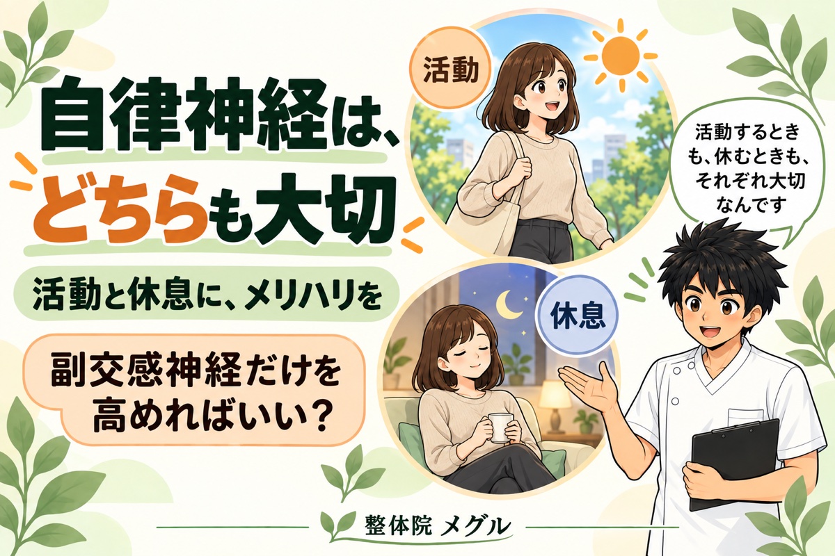 自律神経は、どちらも大切。活動と休息に、メリハリを