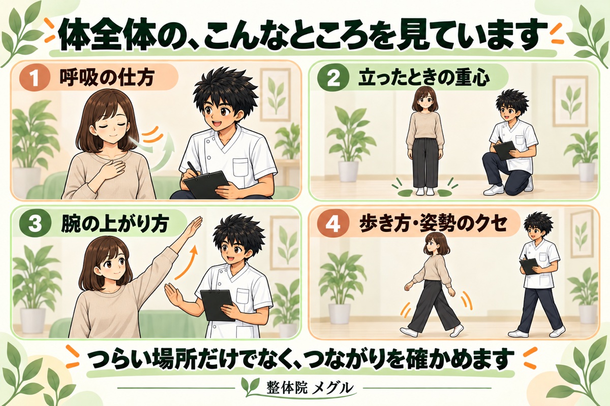 体全体の、こんなところを見ています。呼吸の仕方・立ったときの重心・腕の上がり方・歩き方や姿勢のクセの4つ