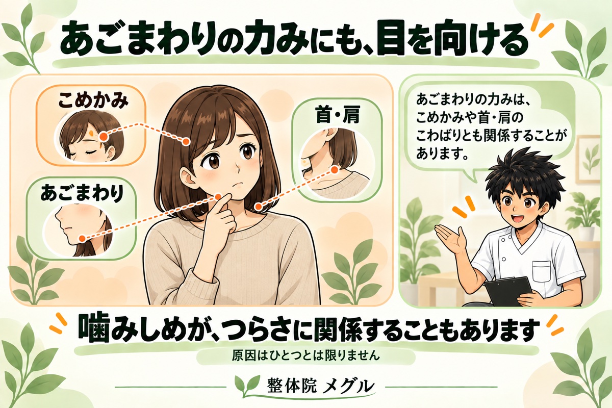 あごまわりの力みにも目を向ける。あごまわり・こめかみ・首や肩のつながり